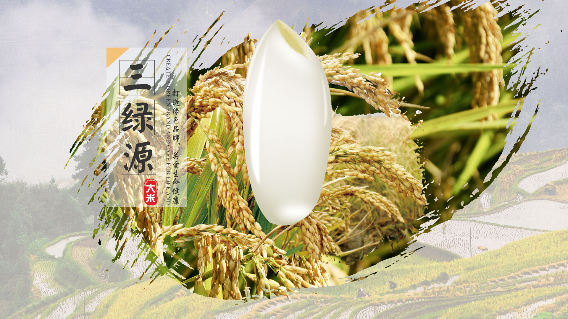 黑龍江大(dà)米